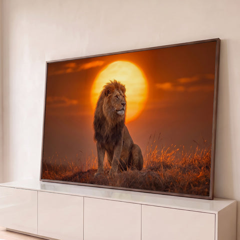 Leão de juba longa sentado no capim seco diante de um grande sol alaranjado na savana, quadro decorativo