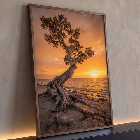 Árvore retorcida de raízes expostas na areia à beira-mar com sol se pondo no céu laranja, quadro decorativo