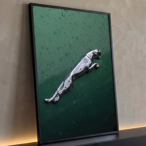 Emblema cromado de felino saltando sobre lataria verde de carro com gotas de chuva, quadro decorativo