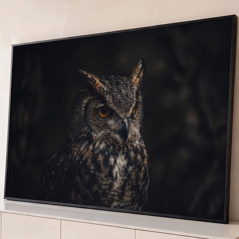 Coruja-orelhuda com olhos âmbar e penas marrons em fundo escuro, fotografia, quadro decorativo