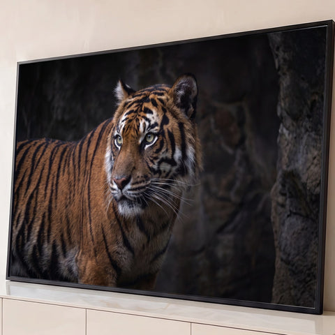 Tigre de Sumatra de pelagem laranja e olhos verdes em fundo escuro de rocha, fotografia, quadro decorativo
