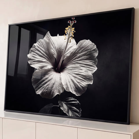 Flor de hibisco branca com pétalas texturizadas e pólen dourado sobre fundo preto, quadro decorativo