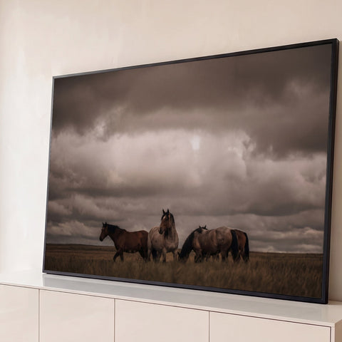 Quatro cavalos selvagens em campo seco sob céu nublado e dramático em tons sépia, quadro decorativo