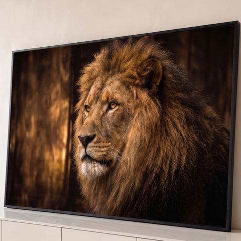 Leão de perfil com juba farta e olhar sereno sobre fundo marrom escuro, fotografia, quadro decorativo