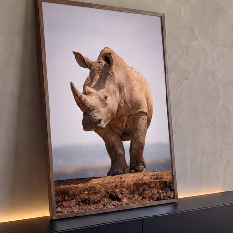 Rinoceronte-branco de frente sobre chão de lama e céu claro, fotografia de vida selvagem, quadro decorativo