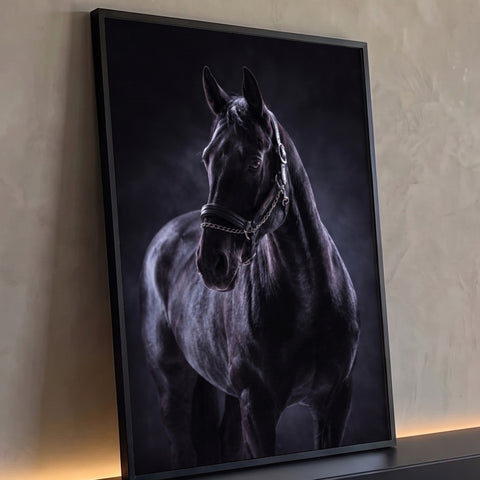 Cavalo negro com cabresto de couro e corrente em fundo escuro esfumaçado, quadro decorativo