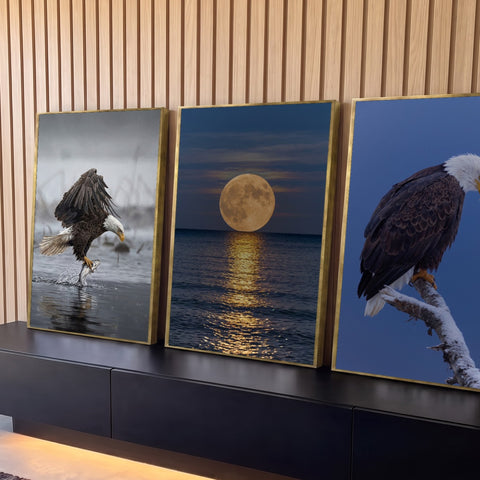 Quadro Decorativo Kit 3 Telas Águias e Lua para Sala Azul | quadros decorativos para sala | trio de telas com águias-de-cabeça-branca e lua cheia refletida no mar | Porao dos Quadros