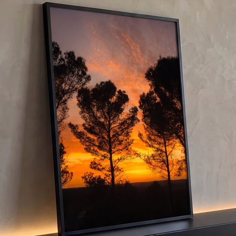 Silhueta de pinheiros contra céu de pôr do sol laranja com nuvens rosadas, quadro decorativo