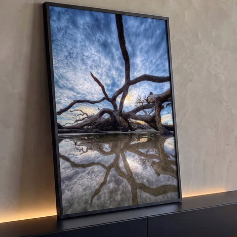Árvore seca retorcida na praia refletida em poça d'água sob céu azul com nuvens, quadro decorativo