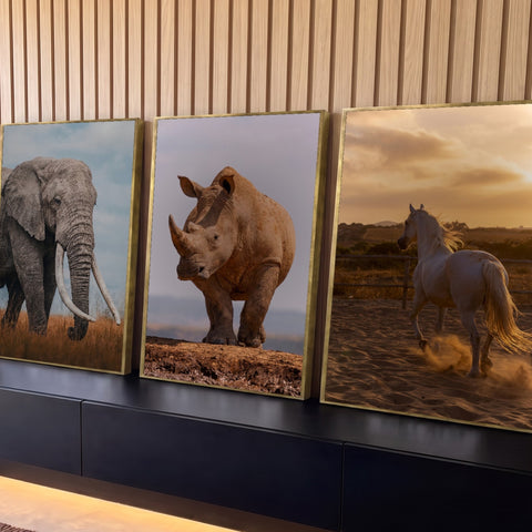 Quadro Decorativo Kit 3 Telas Elefante Rinoceronte para Sala | quadros decorativos para sala | três animais selvagens elefante rinoceronte e cavalo branco em cenários naturais | Porao dos Quadros