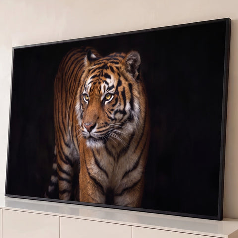 Tigre majestoso de olhos âmbar e listras laranja, em pé sobre fundo preto profundo, quadro decorativo