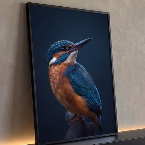 Martim-pescador azul e laranja pousado em galho sobre fundo azul escuro, quadro decorativo