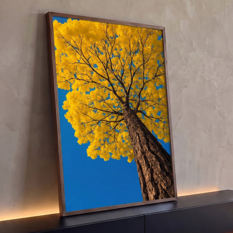 Ipê amarelo florido visto de baixo, tronco robusto e copa contra céu azul intenso, quadro decorativo
