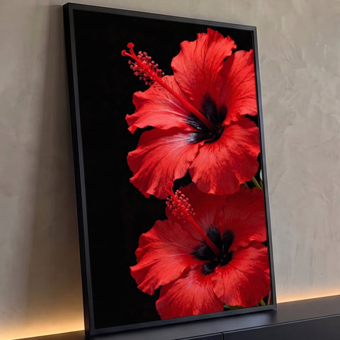 Dois hibiscos vermelhos com estames longos em close sobre fundo preto, quadro decorativo
