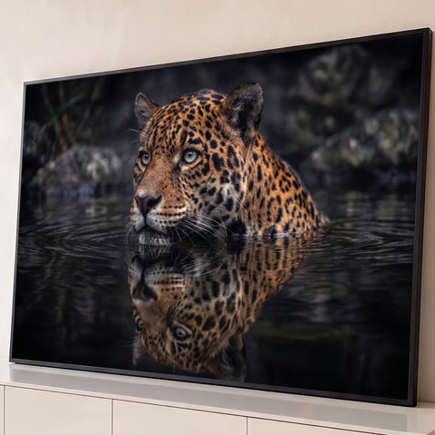 Onça-pintada de olhos claros na água escura com reflexo espelhado, fotografia de natureza, quadro decorativo