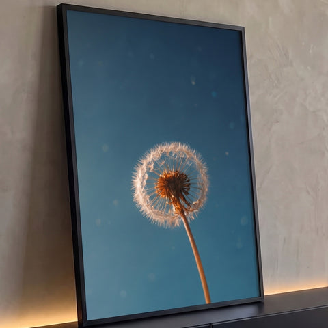 Dente-de-leão em close com sementes iluminadas por luz dourada sobre céu azul com bokeh, quadro decorativo