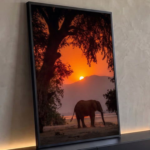 Elefante africano em silhueta sob árvore, sol se pondo atrás de montanhas e céu laranja, quadro decorativo
