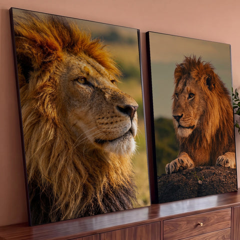 Quadro Decorativo Grande Dois Leões para Sala Marrom | quadros decorativos para sala | dois leões machos em fotografia realista com juba dourada e olhar intenso | Porao dos Quadros