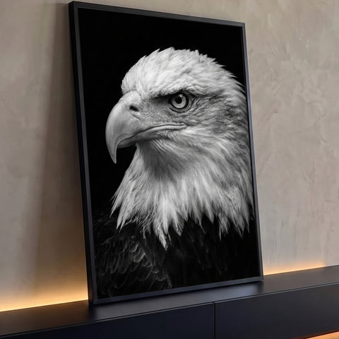 Close de águia careca em fotografia preto e branco, olhar fixo e fundo preto, quadro decorativo
