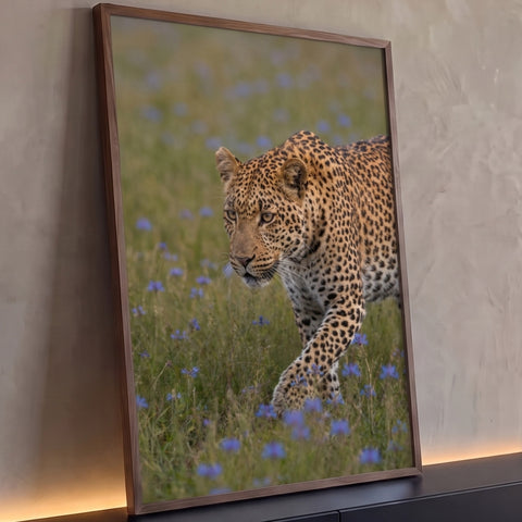 Leopardo de olhar fixo caminhando por campo verde com flores azuis, fotografia realista, quadro decorativo