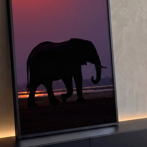 Elefante africano em silhueta contra céu roxo e laranja do pôr do sol à beira do rio, quadro decorativo