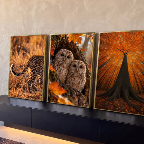 Quadro Decorativo Kit 3 Telas Leopardo Corujas para Sala | quadros decorativos para sala | leopardo na savana, filhotes de coruja em árvore e copa de outono em laranja | Porao dos Quadros