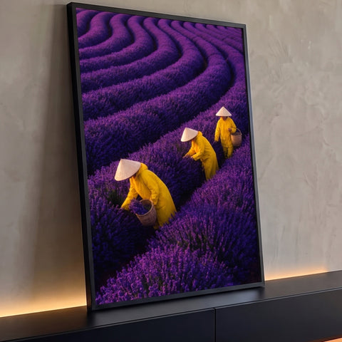 Três colhedoras de capa amarela e chapéu cônico em campo de lavanda roxa ondulado, quadro decorativo