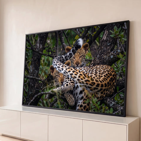 Leoparda e filhote de pelagem malhada deitados num galho de árvore em meio à mata verde, quadro decorativo