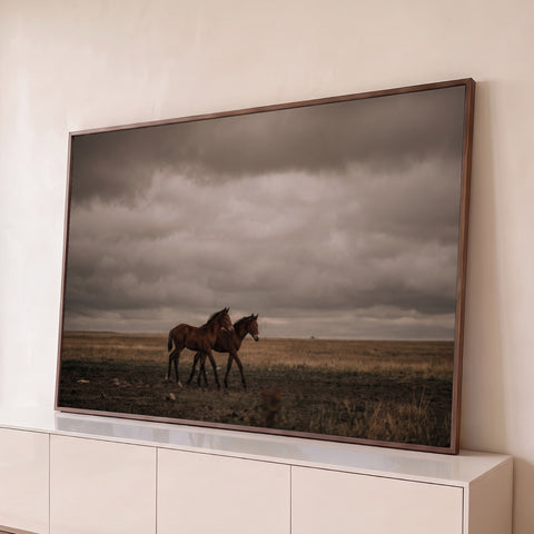 Dois potros marrons caminhando em campo aberto sob céu nublado e tempestuoso, quadro decorativo