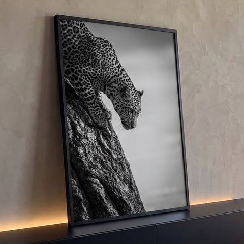 Leopardo à espreita descendo tronco de árvore em fotografia preto e branco, quadro decorativo