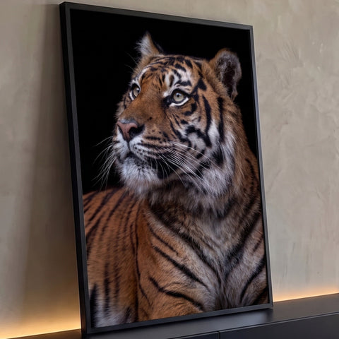 Quadro Decorativo Grande Tigre Olhar Fixo para Sala Laranja | quadros decorativos para sala | tigre em close com olhar fixo, bigodes brancos e fundo preto | Porao dos Quadros