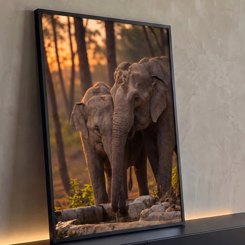 Elefante adulto e filhote bebendo água juntos na floresta ao pôr do sol dourado, quadro decorativo