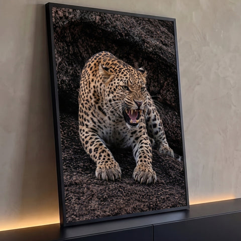 Quadro Decorativo Grande Leopardo Rosnando para Sala Marrom | quadros decorativos para sala | leopardo rosnando com dentes à mostra sobre rocha escura | Porao dos Quadros