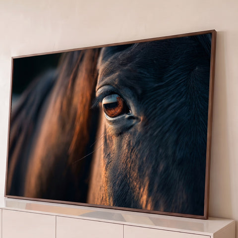 Close do olho âmbar de cavalo escuro com crina iluminada pela luz do fim de tarde, quadro decorativo