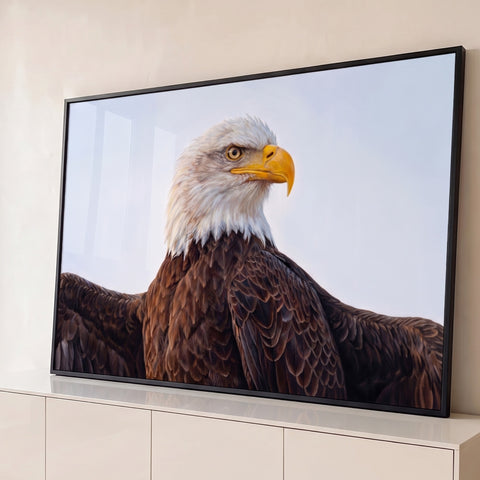 Pintura realista de águia-de-cabeça-branca de perfil com asas abertas e céu claro, quadro decorativo