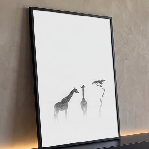 Duas girafas e acácia solitária na névoa branca, fotografia minimalista preto e branco, quadro decorativo