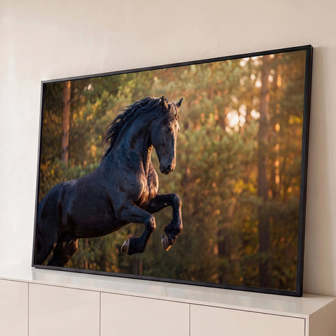 Cavalo negro frísio empinado em floresta iluminada por luz dourada do entardecer, quadro decorativo