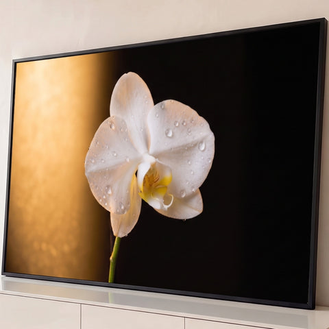 Orquídea branca com gotas d'água sobre fundo preto e luz dourada em fotografia macro, quadro decorativo