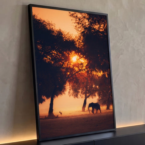 Elefante e impala em silhueta sob acácias com sol laranja atravessando a névoa da savana, quadro decorativo