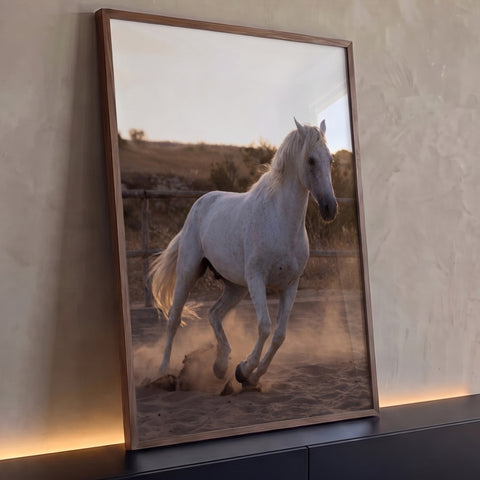 Cavalo branco malhado galopando na areia com poeira e luz dourada do entardecer, quadro decorativo