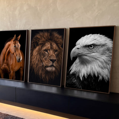 Quadro Decorativo Kit 3 Telas Cavalo Leão e Águia para Sala | quadros decorativos para sala | três retratos de animais, cavalo castanho, leão com juba e águia em preto e branco | Porao dos Quadros