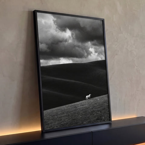 Ovelha branca solitária em colinas escuras sob céu nublado dramático em preto e branco, quadro decorativo
