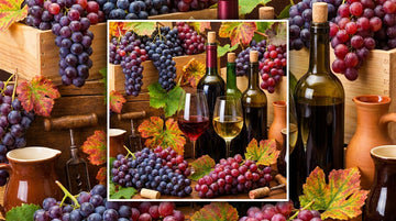 Vinho