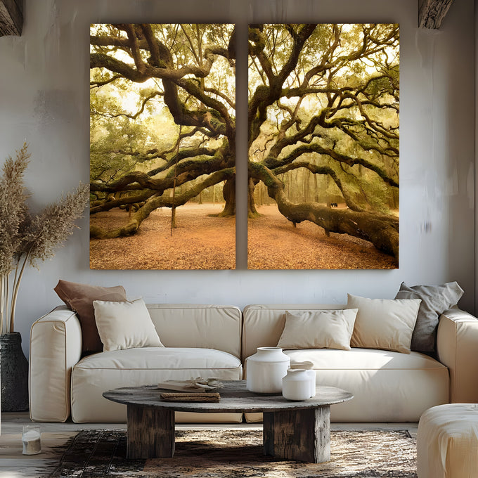 Árvore centenária com galhos retorcidos cobertos de musgo em bosque sob luz dourada, quadro decorativo