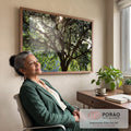 Quadro Decorativo Serenidade na Floresta - Luz e Paz em escritorio moderno - quadros decorativos para sala