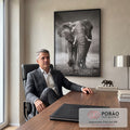 Elefante - quadro decorativo para escritorio | Porao dos Quadros