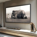 Menino ajoelhado lendo um livro diante de elefante deitado no deserto em tons sépia, quadro decorativo