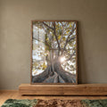 Quadro Decorativo Árvore Radiante ao Sol - Toque de Calor em ambiente decorado - quadros decorativos para sala