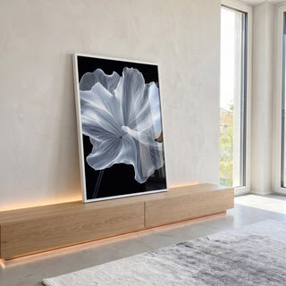 Quadro Decorativo Flor Magnífica Beleza Natural em ambiente decorado - quadros decorativos para sala