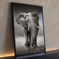 Elefante africano caminhando de frente em fotografia preto e branco sobre chão de pedras, quadro decorativo
